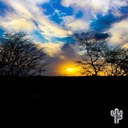 Fazenda Tanques - Instagram 8.jpg