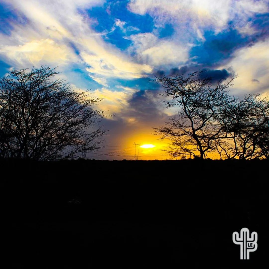Fazenda Tanques - Instagram 8.jpg