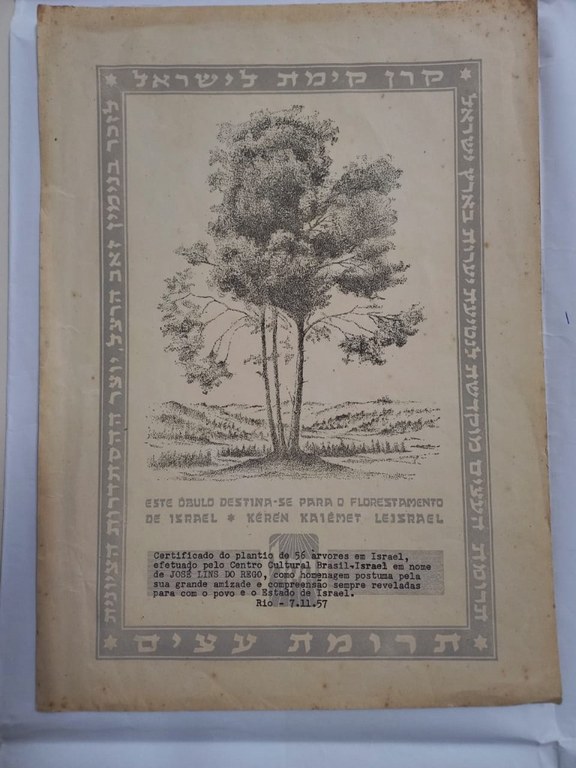 foto8-certificado plantio de arvores em israel.jpeg foto8-certificado plantio de arvores em israel.jpeg