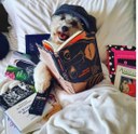 Protagonista do livro - Foto Carolina Steinmuller Farias.jpg