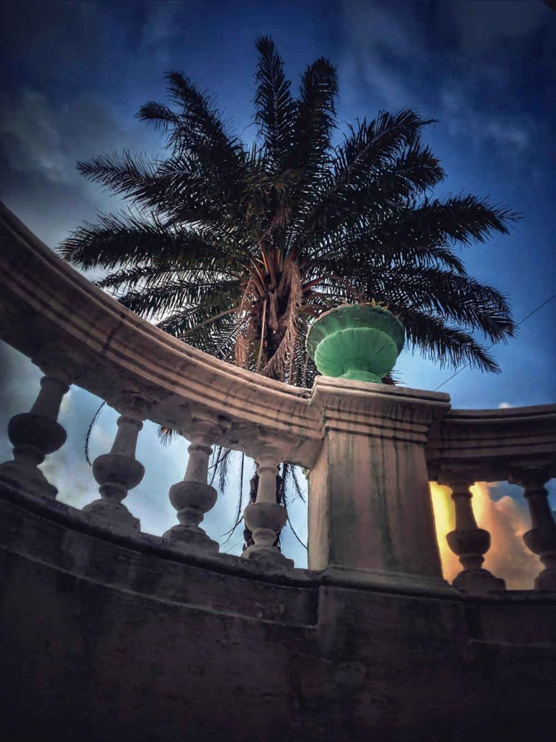 FABIANE BALBINO2.jpg