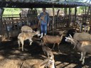 Rrenato da Silva e sua criação de animais - Arquivo pessoal.jpg