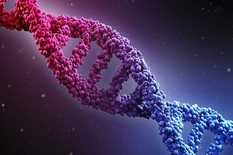 13-12-2017-F-gene.jpg