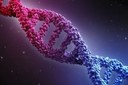 13-12-2017-F-gene.jpg