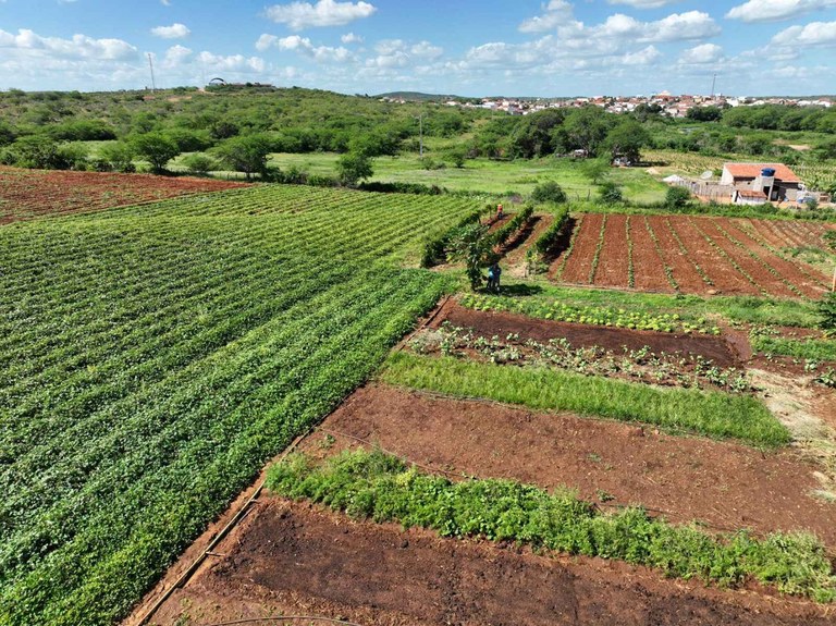 Agropecuária sustentável - Divulgação.jpg