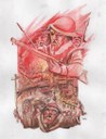 matéria-26-03-2023-mamanguape-incendiada-Ilustração Tônio.jpg