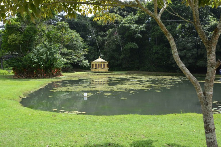 jardim botanico © roberto guedes (44).JPG