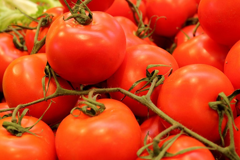 tomates.jpg