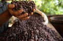 05-01-2018-F-chocolate.jpg