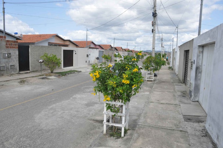 replantio_complexo_aluizio_campus_cg_fabiana_veloso (1).jpg