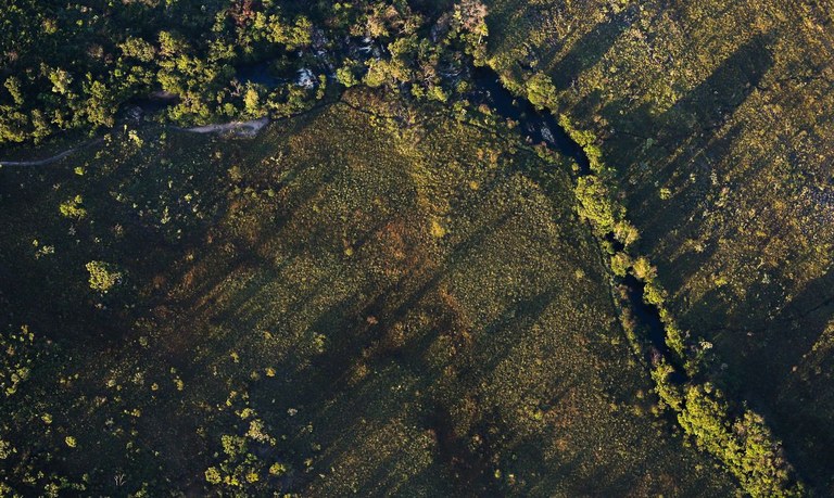 Cerrado - Chapada dos Veadeiros.jpg