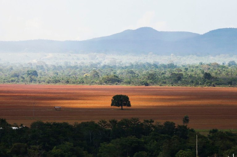 Cerrado.jpg