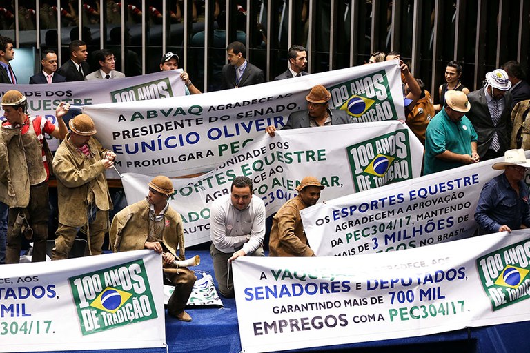 vaquejada.jpg