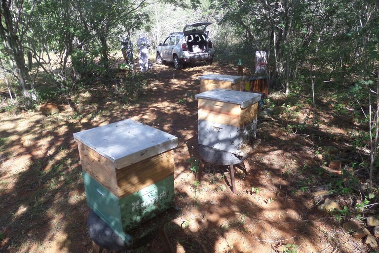 apicultura emepa 23 07.jpg