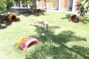 hotel_pet-foto-edson_matos  (17).JPG