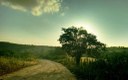 91db2f41-38ea-4ba3-b0e8-5ce4f780faa6.jpg
