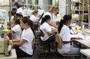 Números de ocupados cresce