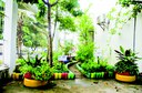 MATERIA-ESPECIAL-HORTA-UFS-GROTAO-NIARANJAN-DO-O-23032021_1-768x509.jpg