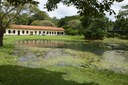 26.08.19_jardim botanico © roberto guedes (49).jpg