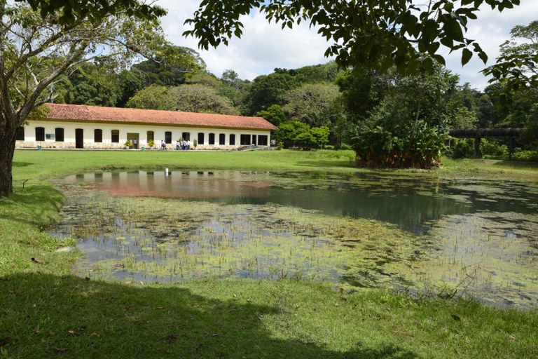 26.08.19_jardim botanico © roberto guedes (49).jpg