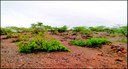 Foto cedida por Bartolomeu Israel - retrata fenômeno da desertificação.jpeg