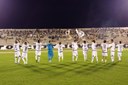 trezefc.jpg