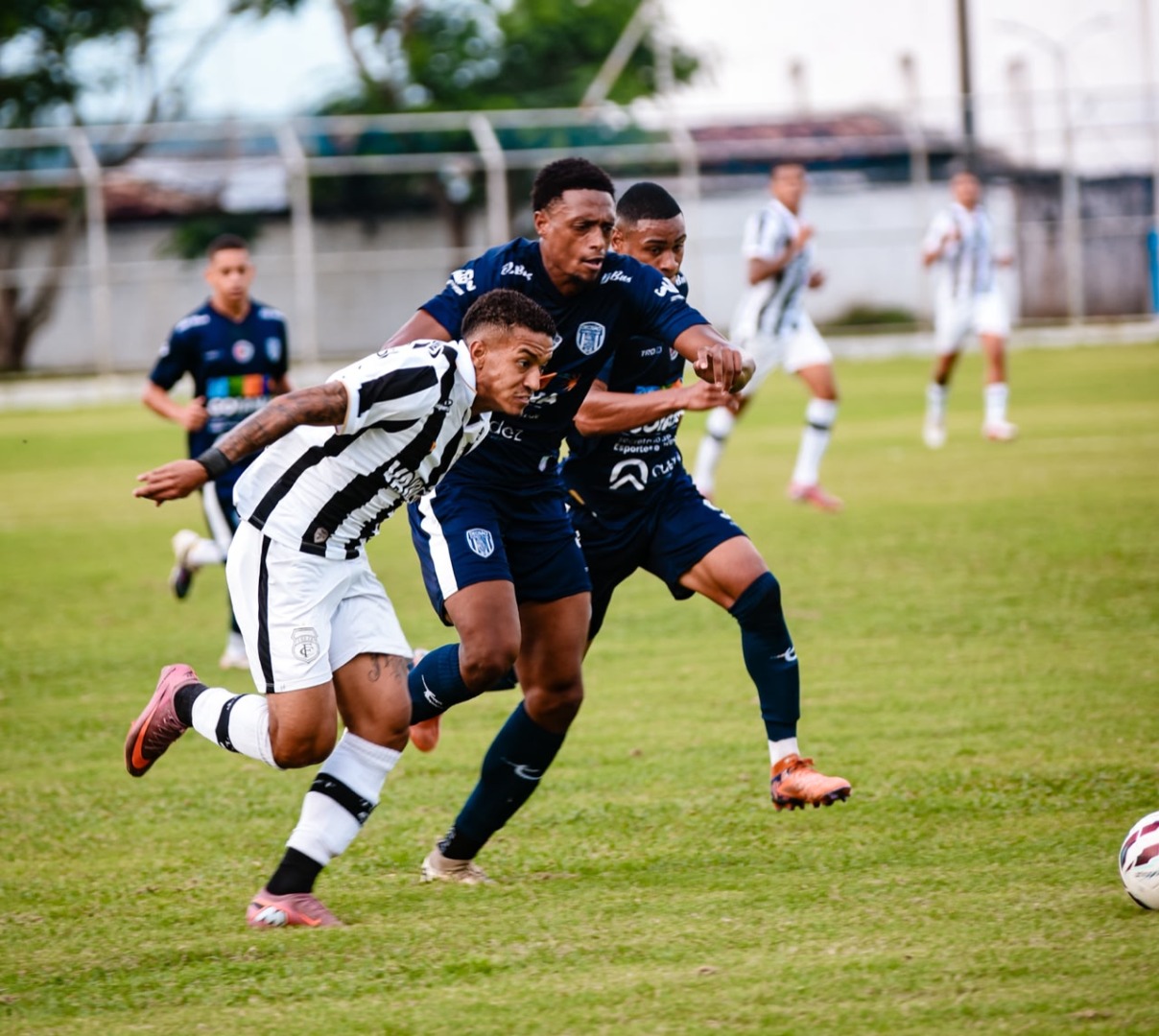 Foto Daniel Vieira Treze.jpeg