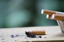 FOTO-pexels-photo-247040-CIGARRO.jpg
