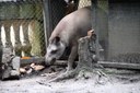 (ANTA)--Parque-Zoobotânico-Arruda-Câmara_F.jpg