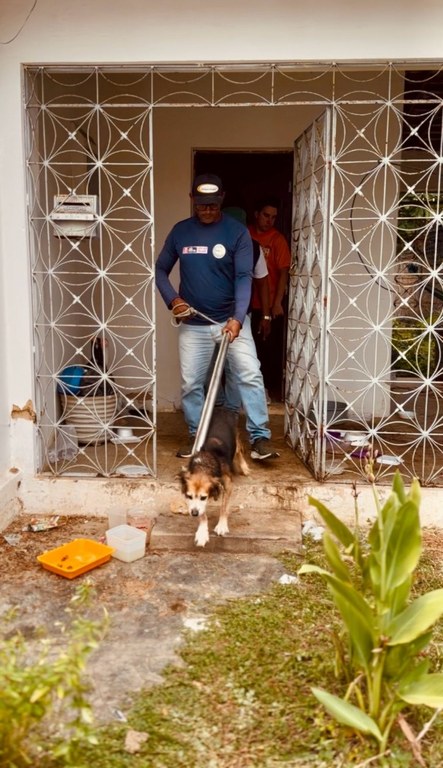 animal 1_SECUPA.jpg