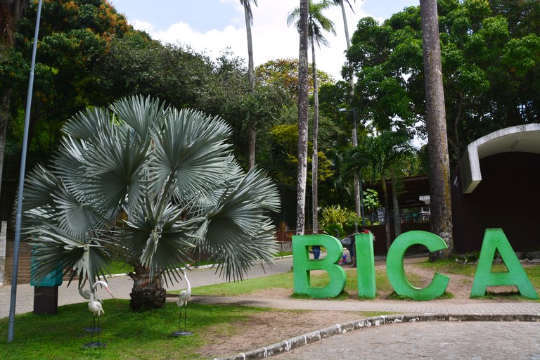 Bica.jpg