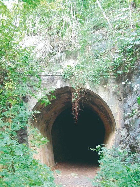 13 - túnel da Samambaia_albanisa assunção.jpg 13 - túnel da Samambaia_albanisa assunção.jpg