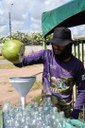 2023.10.03_onda de calor_agua de coco © roberto guedes (48).jpg