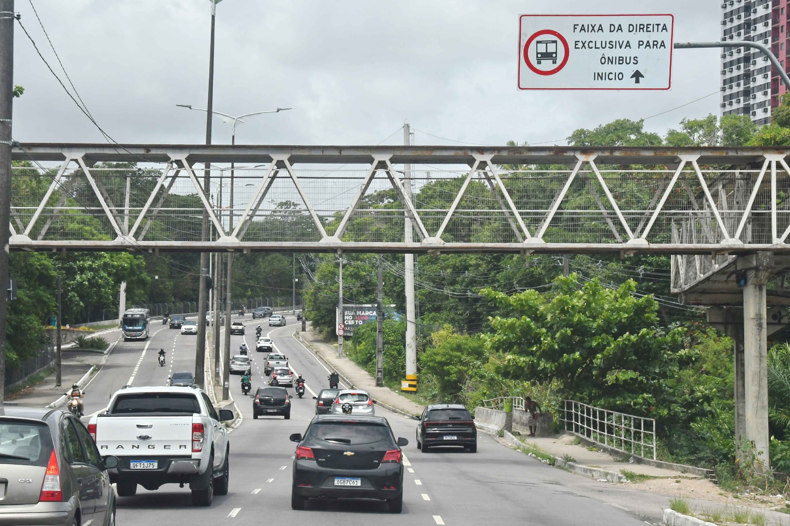 2026.01.20_faixa da direita  exclusiva © Roberto Guedes (3).JPG