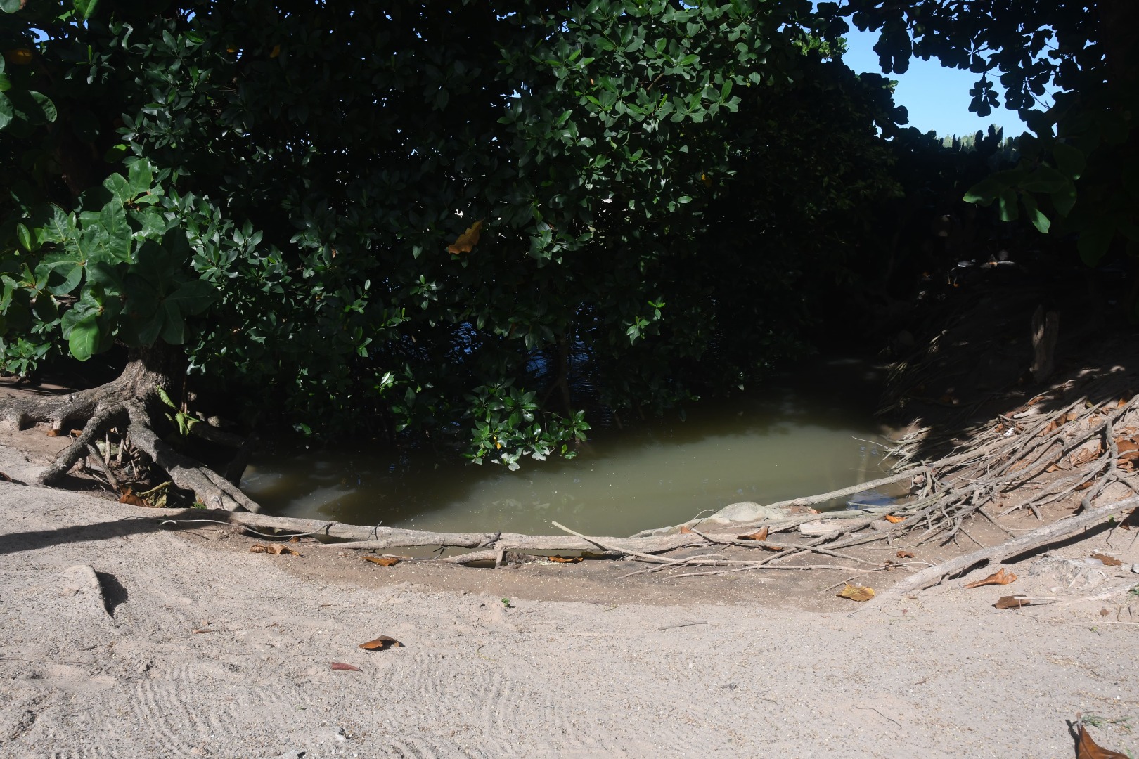 POLUIÇÃO NAS PRAIAS-F-ORTILO ANTÔNIO (68).jpg