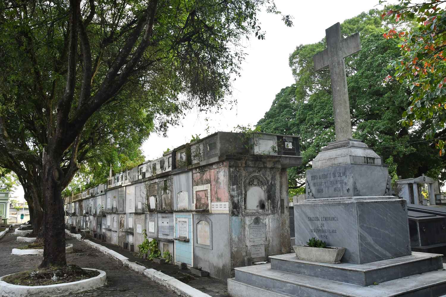 2023.08.29_cemiterio boa sentença © roberto guedes (43).jpg