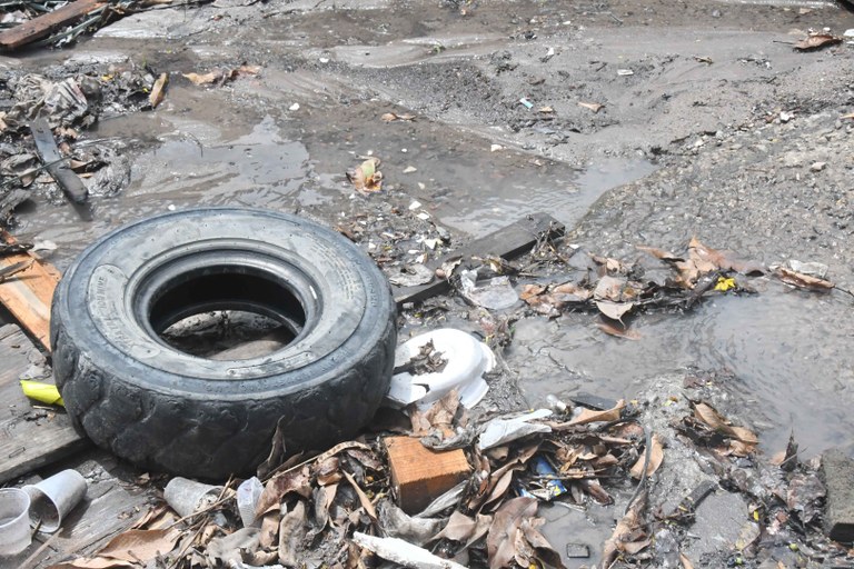 2026.04.14_focus de dengue © Roberto Guedes (37).JPG