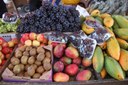 Frutas-do-Verão_3.jpg