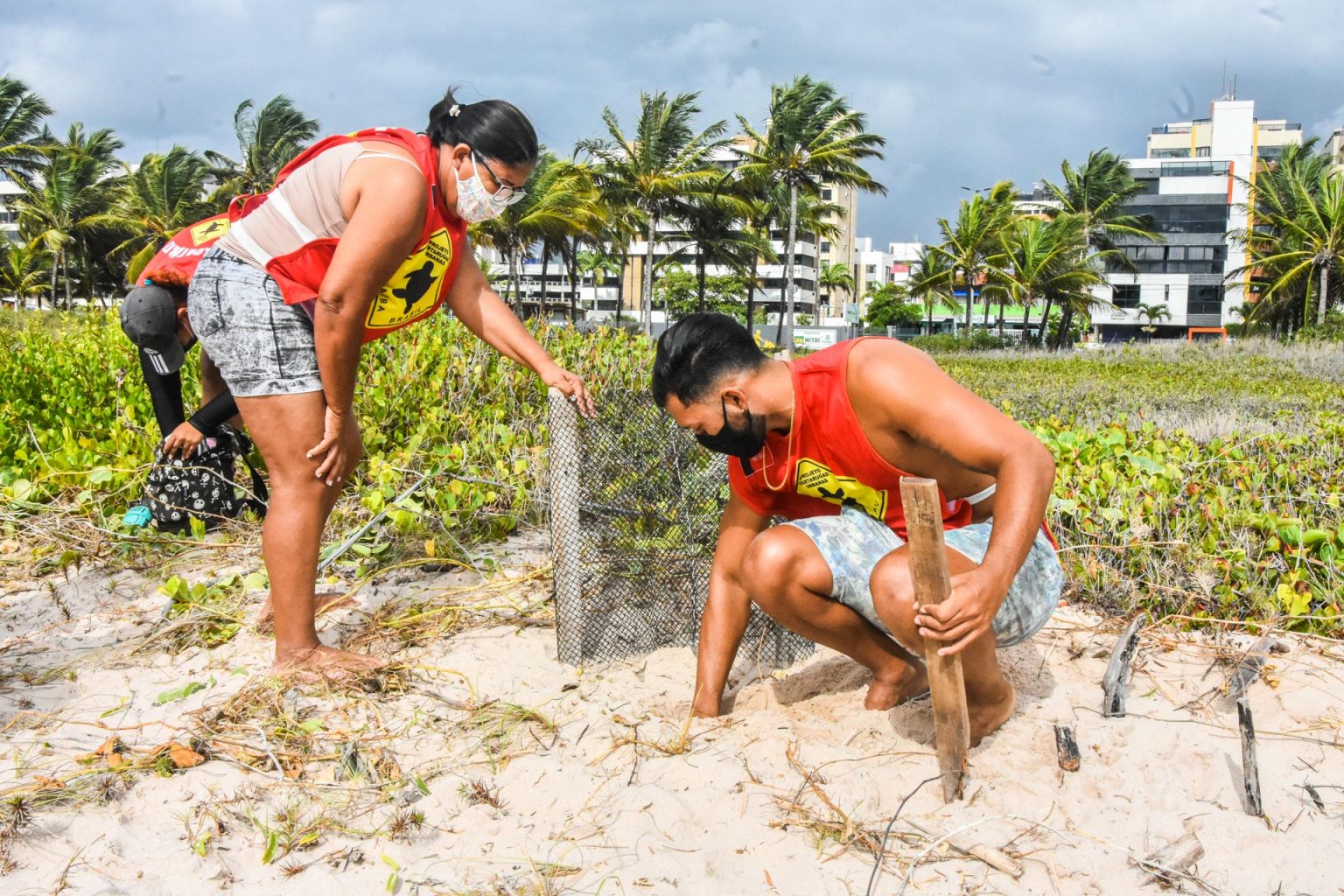 Equipe trabalhando.jpg