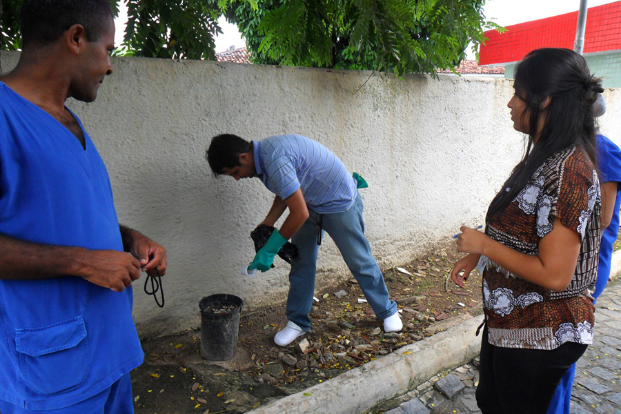 ses hemocentro realiza limpeza continuada contra o mosquito aedes aegypti (2).JPG