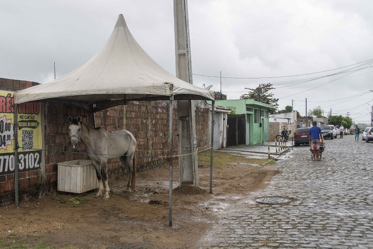 2025.019.02 Objetos nas calçadas © Leonardo Ariel (2).jpg