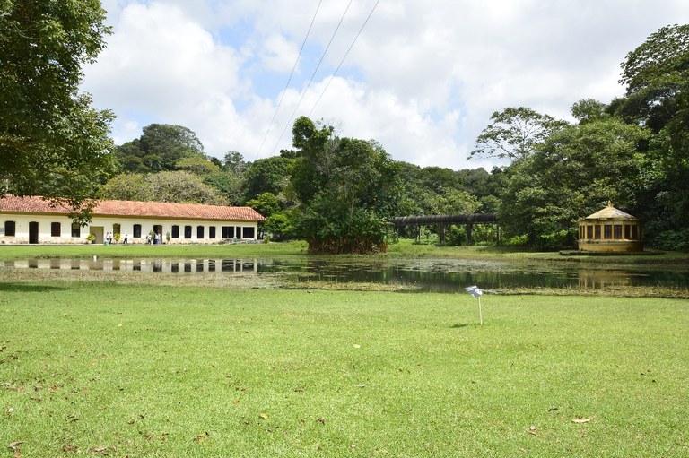 jardim botanico © roberto guedes (45).JPG jardim botanico © roberto guedes (45).JPG