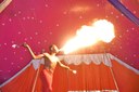 2023.11.30_circo amazonas © roberto guedes (177).jpg