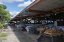 2025.09.01 Reformas no Mercado Central © Leonardo Ariel (17).JPG