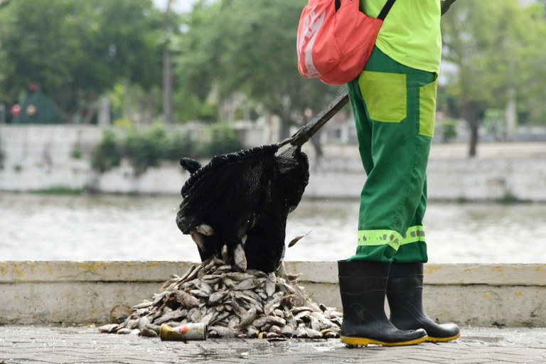 2026.01.12 Poluição no Açude Velho causa morte de peixes © Julio Cezar Peres (7).JPG