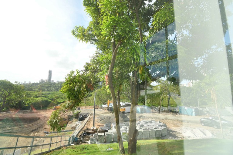 2026.01.26 desmatamento mata da beira rio © Carlos Rodrigo (30).JPG