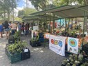 Feira agroecológica - Valdívia Costa.jpg