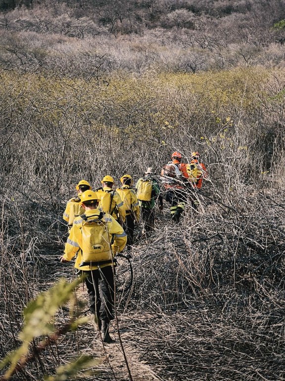 Equipes atuando no combate ao incêndio - assessoria Semas - Rossini Dantas (3).JPG