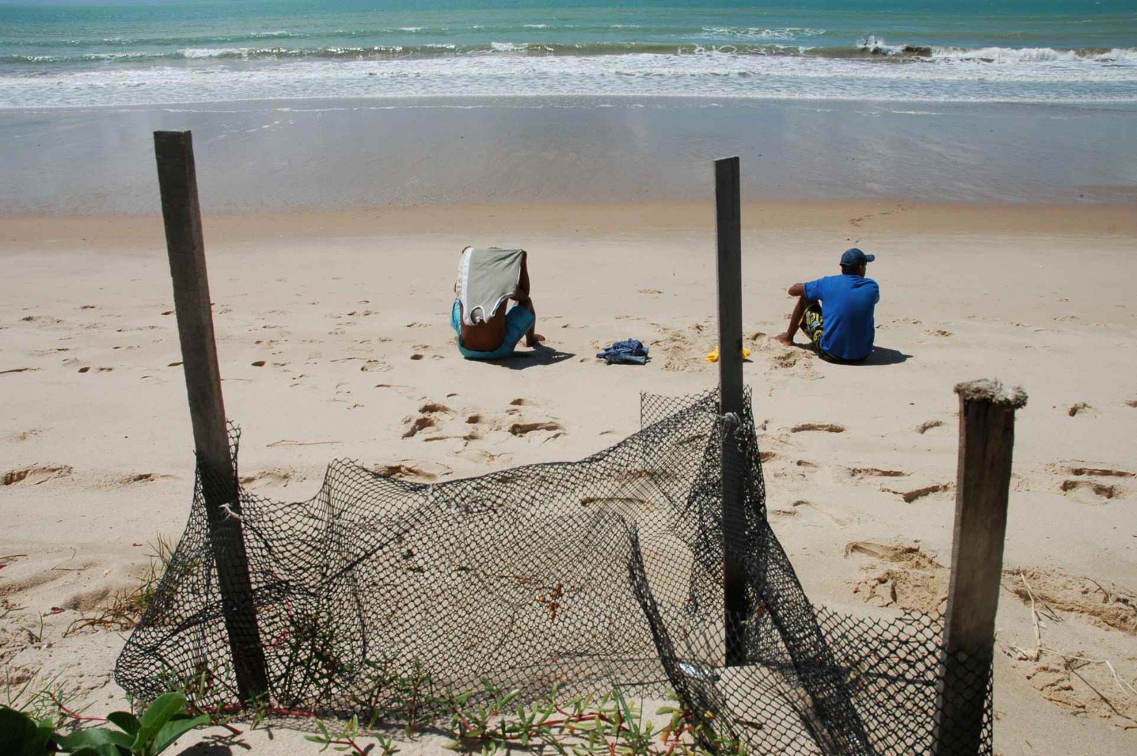 NINHOS DE TARTARUGAS. M.RUSSO- 03.jpg