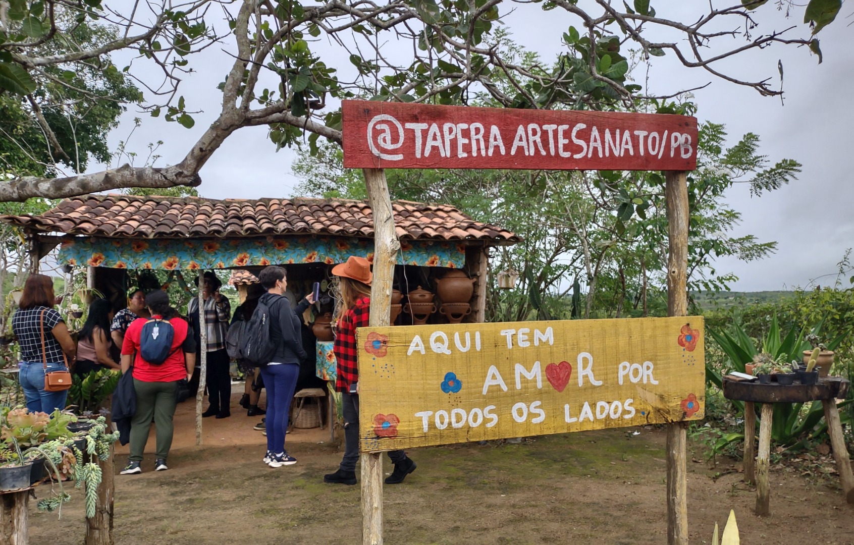 Tapera.jpg